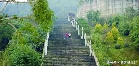 t01dedee1a6c4136364.jpg?size=450x215