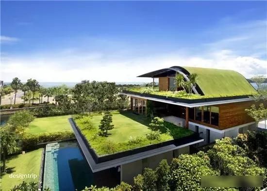 【花园】如果你有个屋顶，就建个花园吧