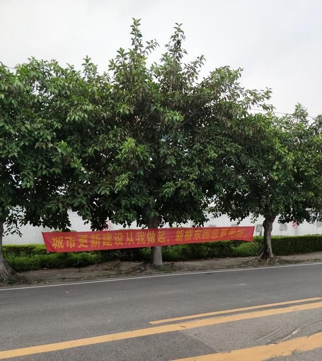 深圳沙井某工业城拆迁，挂满横幅喷上拆字，唯留宗祠或许这是文化