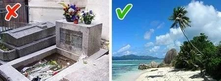 最多人相信的阴谋论，艾薇儿是假的？自然探索领域 未解之谜！