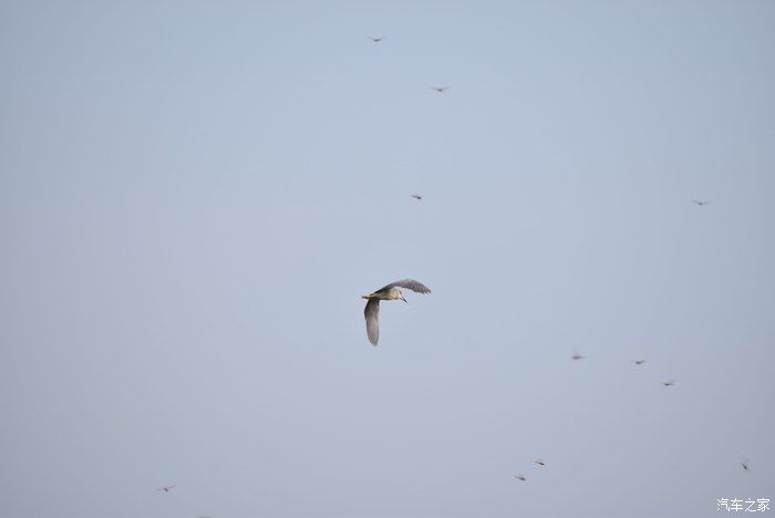 奥迪A6L，宝马X3，奔驰GLB，凯迪拉克CT5，不一样的新感受之九