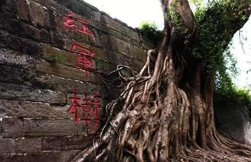 巴中！ 一个一直低调 终于开始绽放的地方