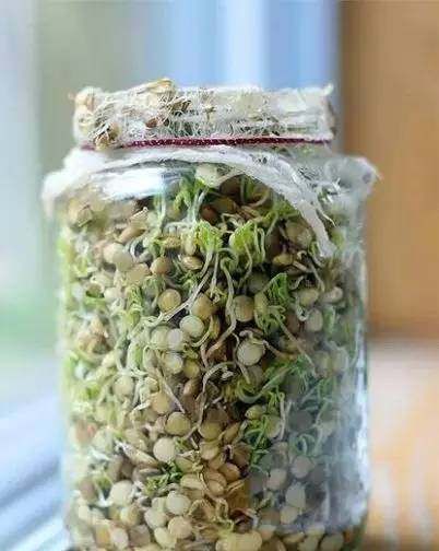  『蔬菜』常见12种蔬菜阳台种植教程，看完又能省下一笔钱啦！