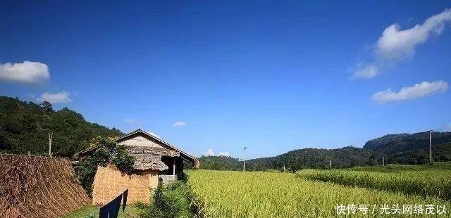  【大棚】拆了大棚，吃不起蔬菜；拆了猪圈，吃不起肉；禁养，买