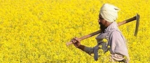  [印度]印度粮食产量仅中国一半，为何能养活同等人口，还大量出