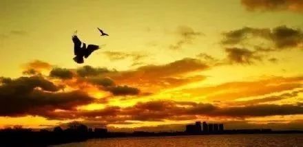 看过今天的朝霞，你的2019年一定鸿运当头