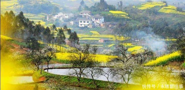 四川正在修建一条投资总额441亿元的铁路, 预计2020年建成通车