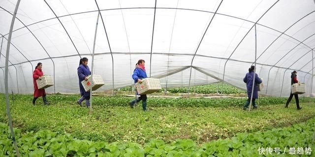  生活：农村人的这几种想法已经在改变