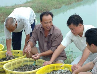 农村小伙尝试养泥鳅创业,仅半年就走上了富豪