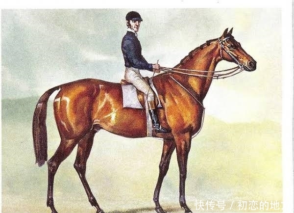 澳大利亚墨尔本比赛