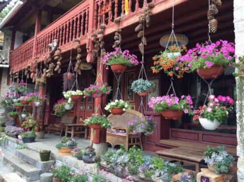 中国“最特别”的尼姑庵，只种花却不烧香！游客直称：太美了！