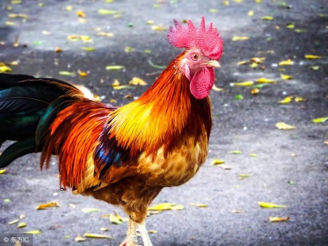 刚刚,A股全线告急千股跌停,大批股民严重亏损