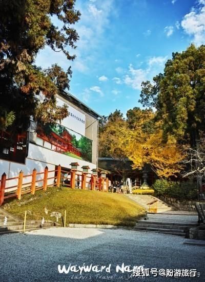 「祈福的灯笼」DAY2日本深度自由行之大阪都门奈良城崎旅行日记