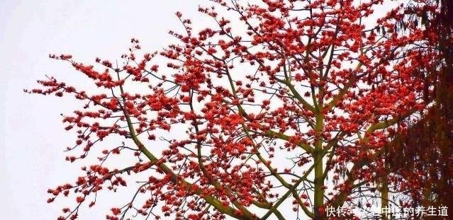 广东省资讯｜广东这个镇厉害了，喜获800亿高铁项目“入驻”，将