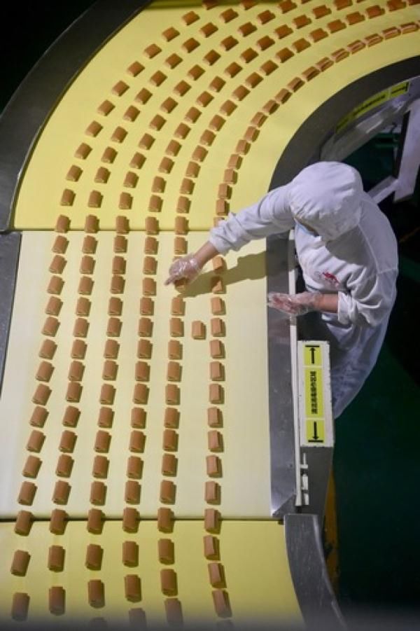  防控|福建晋江：强化防疫防控 加紧复产复工