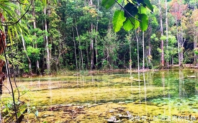 全泰国最大的泳池原来在这里