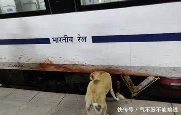  #高铁#一个职业到了印度是这样跑偏的：在中国是养路员，在印度