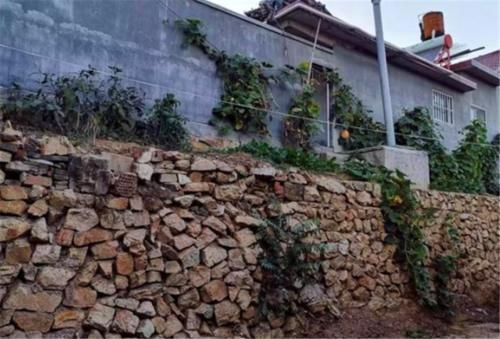  「房子」在农村，很多人盖二层的楼房，也没人住，农村有必要盖