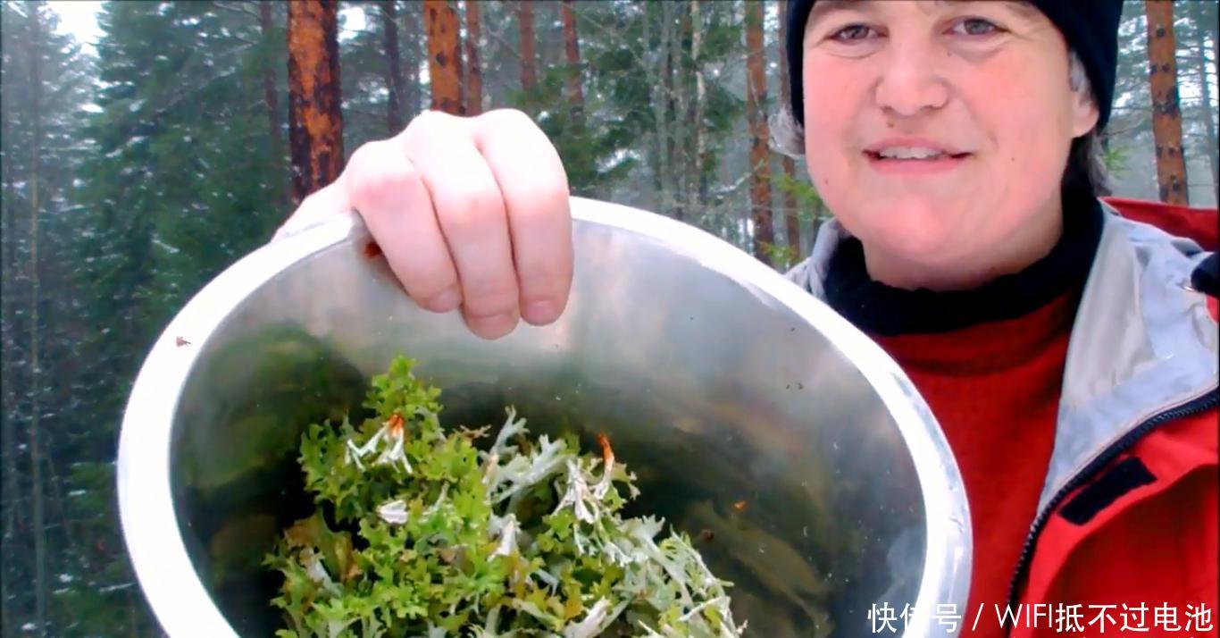 中国随处可见的苔藓,冰岛人却当成美食,想吃还要预约排队