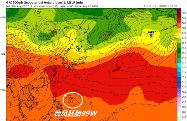  「我国」又来一个！今年第12号台风杨柳在酝酿，或尾随白鹿台风