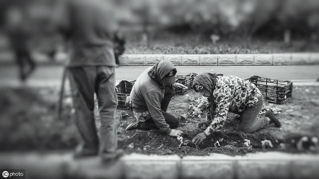 “房价还能大涨，三四亿农民等着进城！”“别傻了，他们有房！”