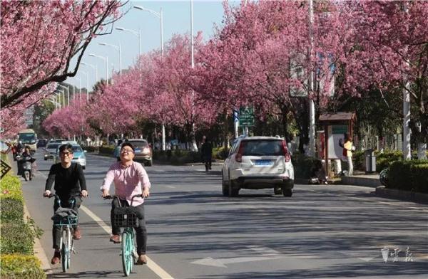 带伞加衣服！大范围降雨即将“杀”到云南
