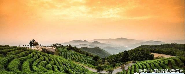  「两城」河南信阳和河南驻马店那个更有发展潜力？