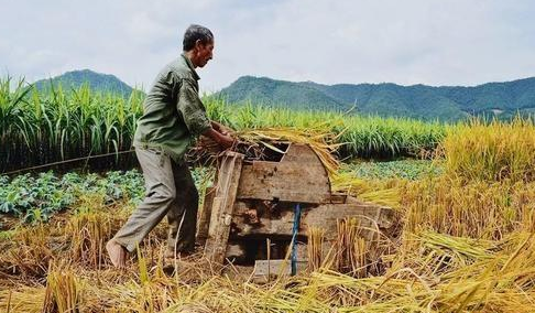  「汽车」若干年后这三样很有价值，每个村庄和农民都有，并非是