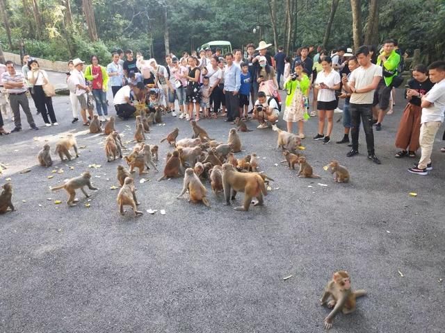 走进贺州7:南国仙山姑婆山，我早就神往的地方，今天终于来了