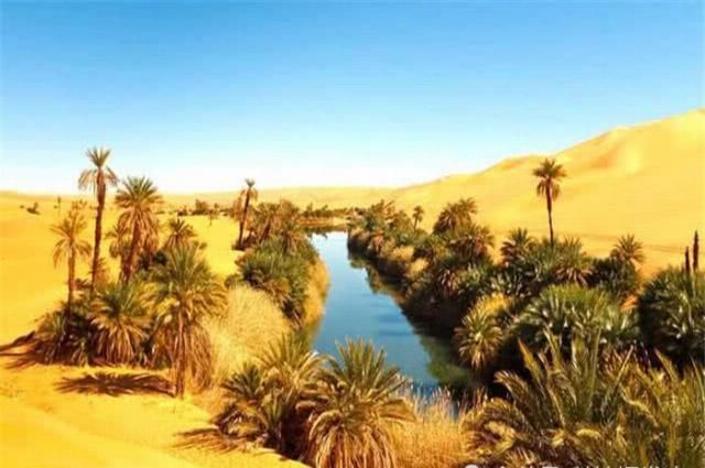 长满多肉的沙漠，共有3000种植物，对这片沙漠的身份产生质疑!