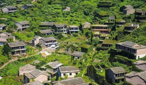 广东最神圣的无人村，荒废已有20年，如今整个村子被树“占领”