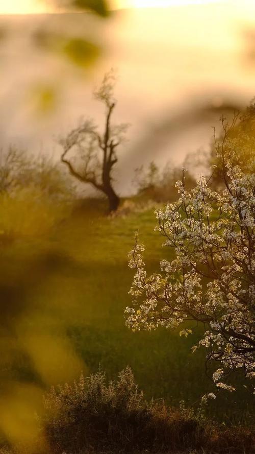 旅行达人必去的10个目的地,你去过几个?