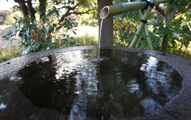 等有钱了，就造一个日式庭院，静谧悠然禅意十足，每天喝茶赏花