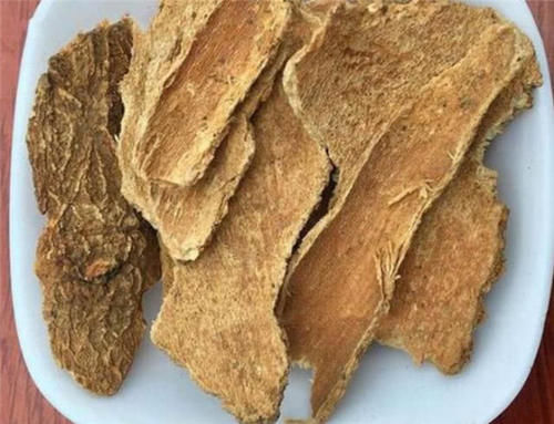  [收购]有人去农村收购“香椿皮”，价格高达60元一斤，为何这么