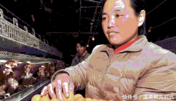 农村“禁养区”养殖场， 限期关停搬迁， 老农反问3句， 专家无言