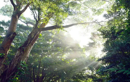 三亚最好玩的地方居然不是亚龙湾！而是默默无闻的它，亚龙湾：我