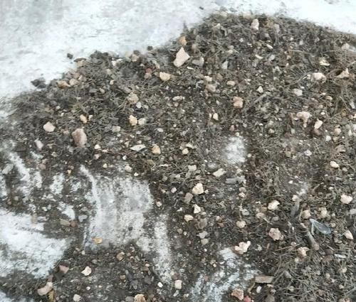  【盆土】兰花看着不爽，那就分苗分盆吧，一盆变三盆，盆土消毒方式一绝