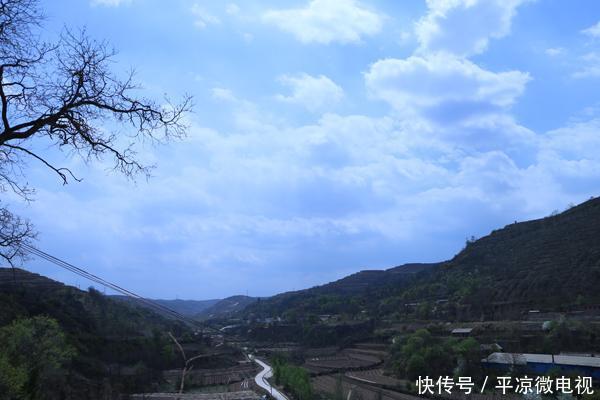 【春天】甘肃平凉老宅院内白丁香花又开了