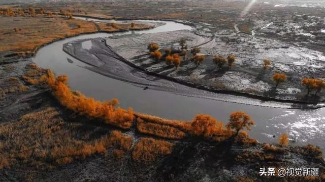 大山 沙漠 湖泊 金胡杨是大自然最完美的构图