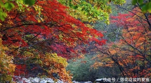 9月来袭！彩林红叶齐绽放，快让国内这6个地方承包整个秋天