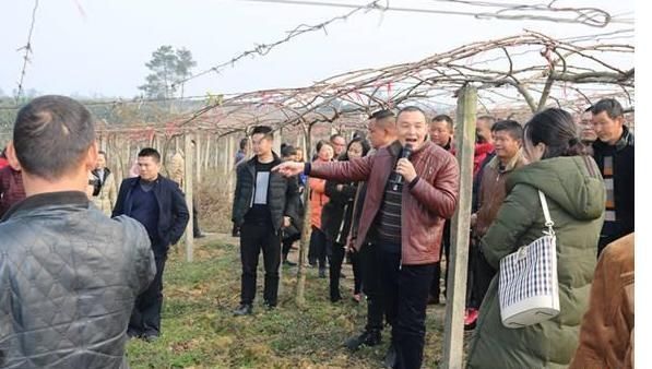 未来10年，农村迎来黄金发展期，给农村带来6大变化，要抓住时机