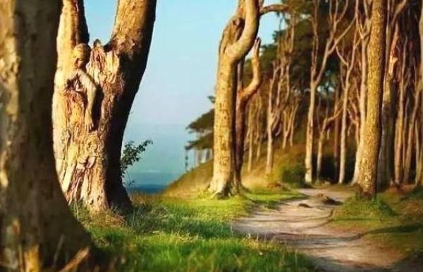 每张图中都“藏”有美女：智商高的人找出四张，找出五张要海军！