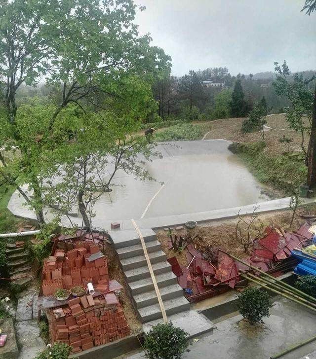  「全村」80万的农村自建别墅，全村第一气派！超爱院子旁的大鱼