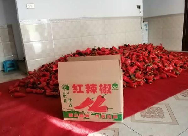  高山■年产值高达20亿元！全国高山蔬菜第一县是如何做到的？