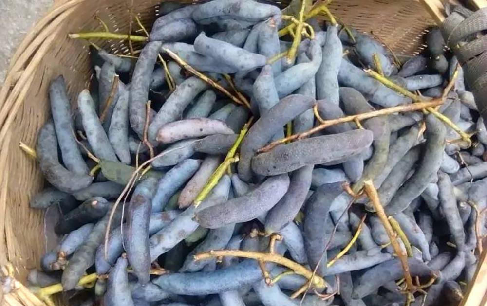  「名字」名字很难听，一般人不敢吃它，但如今却卖20元一斤，见