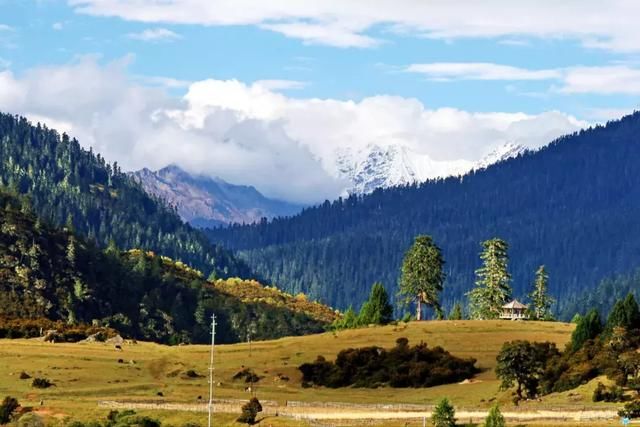 再过一个月，国内这处桃花盛景就要藏不住啦！囊括高原最美雪山！