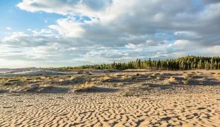 沙漠要变绿洲？中国西部最近降雨频繁，但专家却说不是好事？