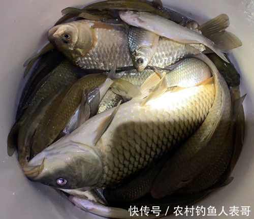 春季夜钓做好这四点，新手夜钓照样上鱼，浅谈春季夜钓的四大技巧