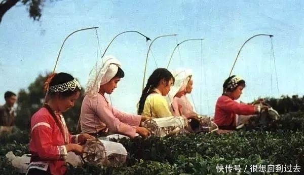  「漂亮」【欣赏】毛主席时代的妇女，真漂亮！