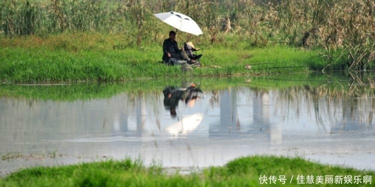  #鱼儿上钩#男子钓到一条“怪鱼”，看到鱼的头后，无人敢拿回家吃